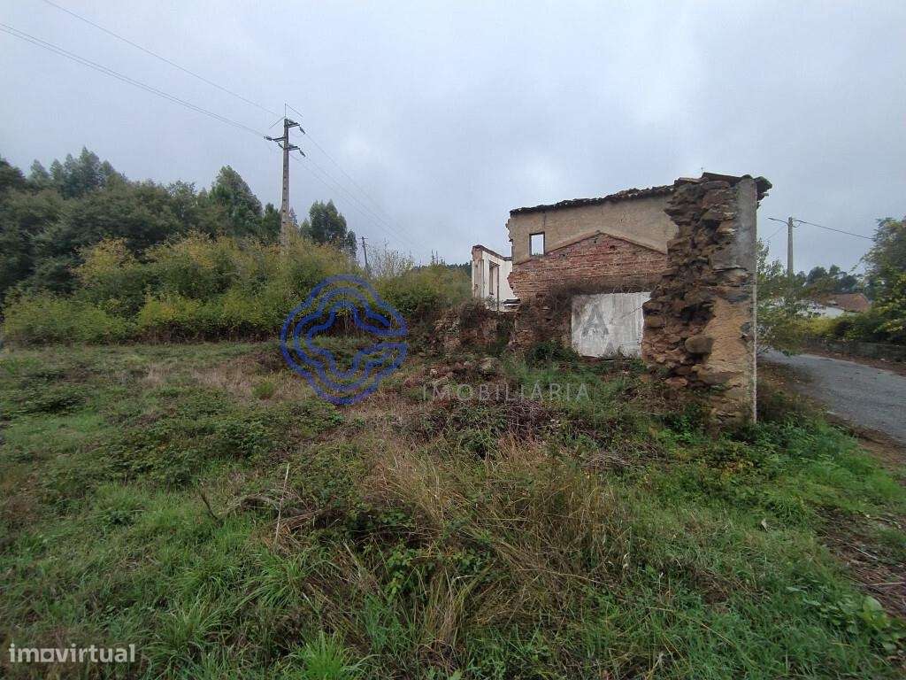 Ruína com logradouro a 10 minutos de Dornes no Centro de Portugal - Grande imagem: 4/12