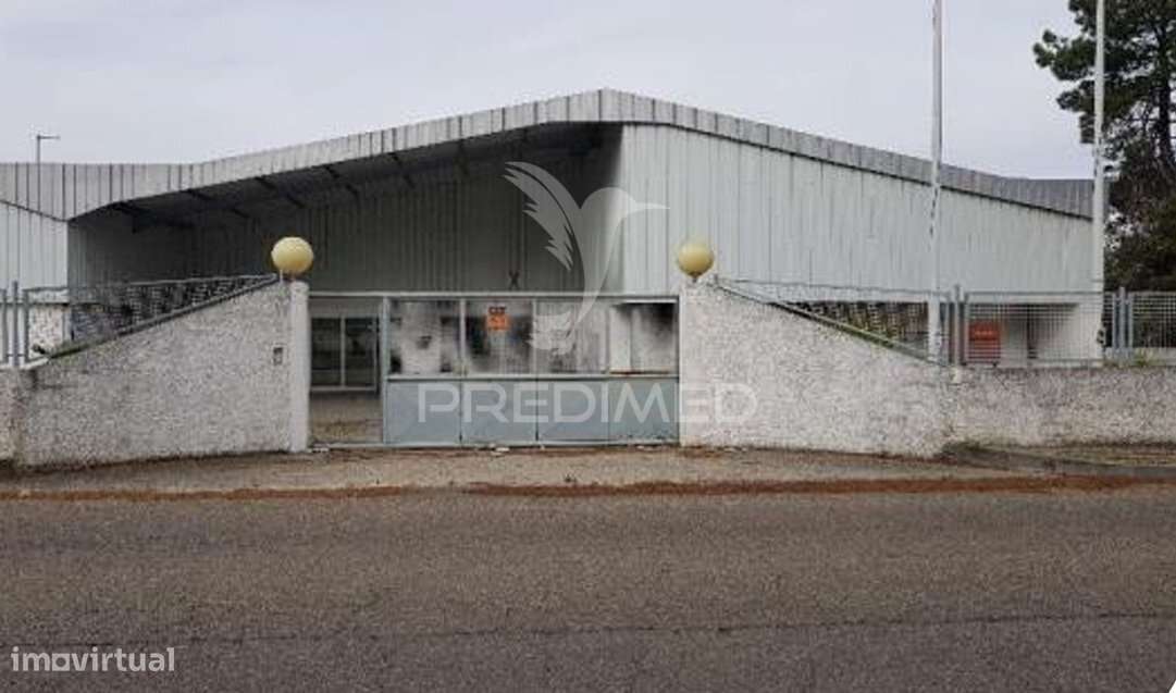 Edifício Industrial à Venda – Zona Industrial de Muge - Grande imagem: 3/22