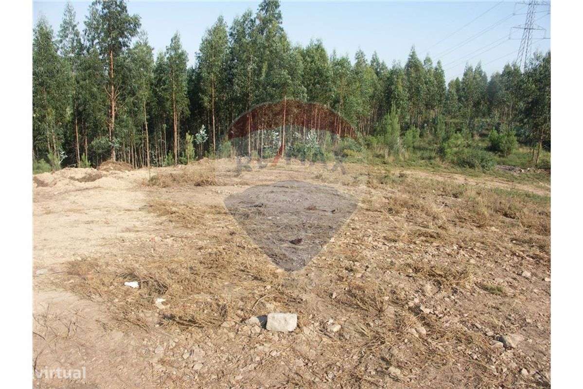 Terreno Rústico com 6600m2 - Grande imagem: 3/9