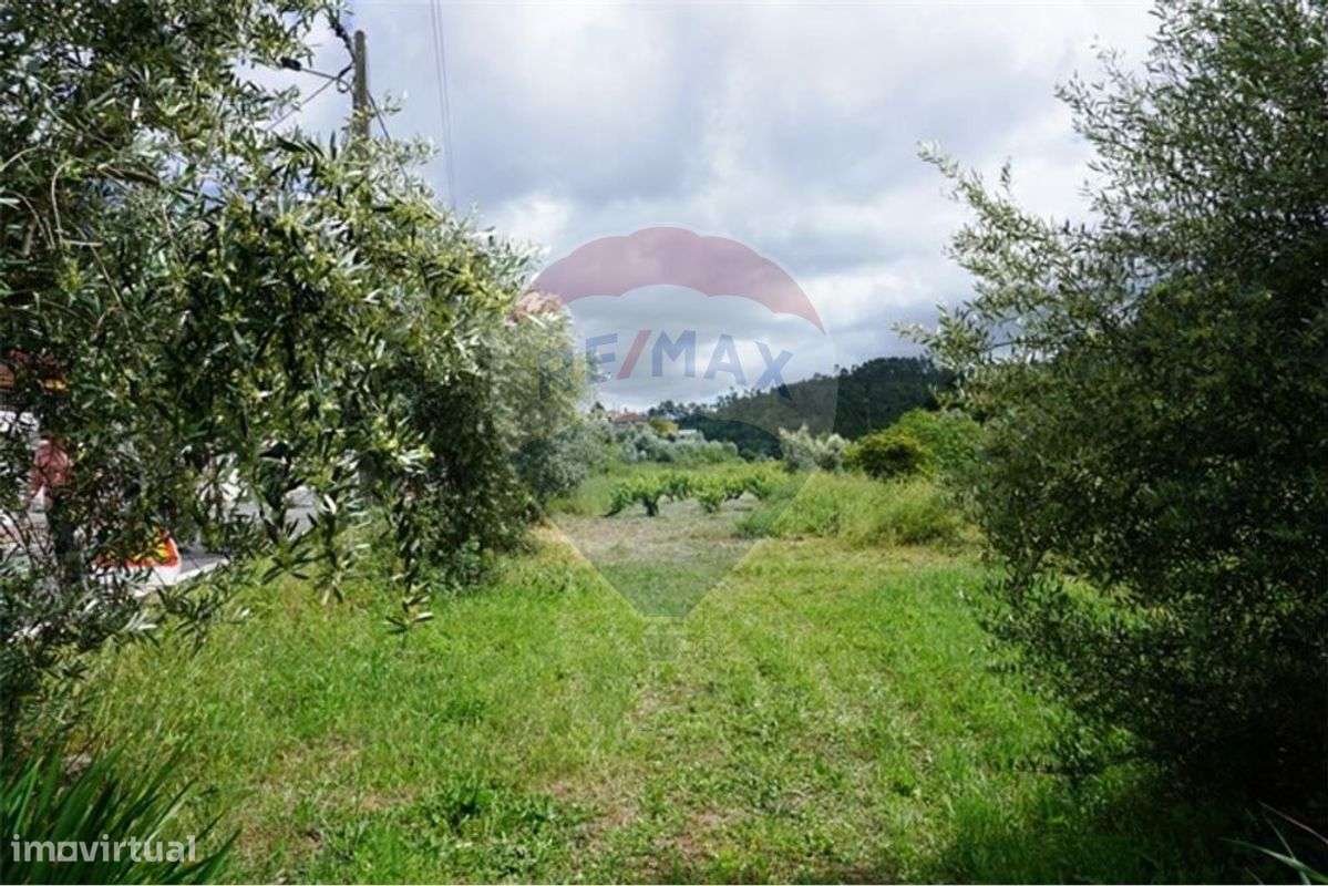 Terreno amplo para construção em Assafarge-Coimbra - Grande imagem: 5/7