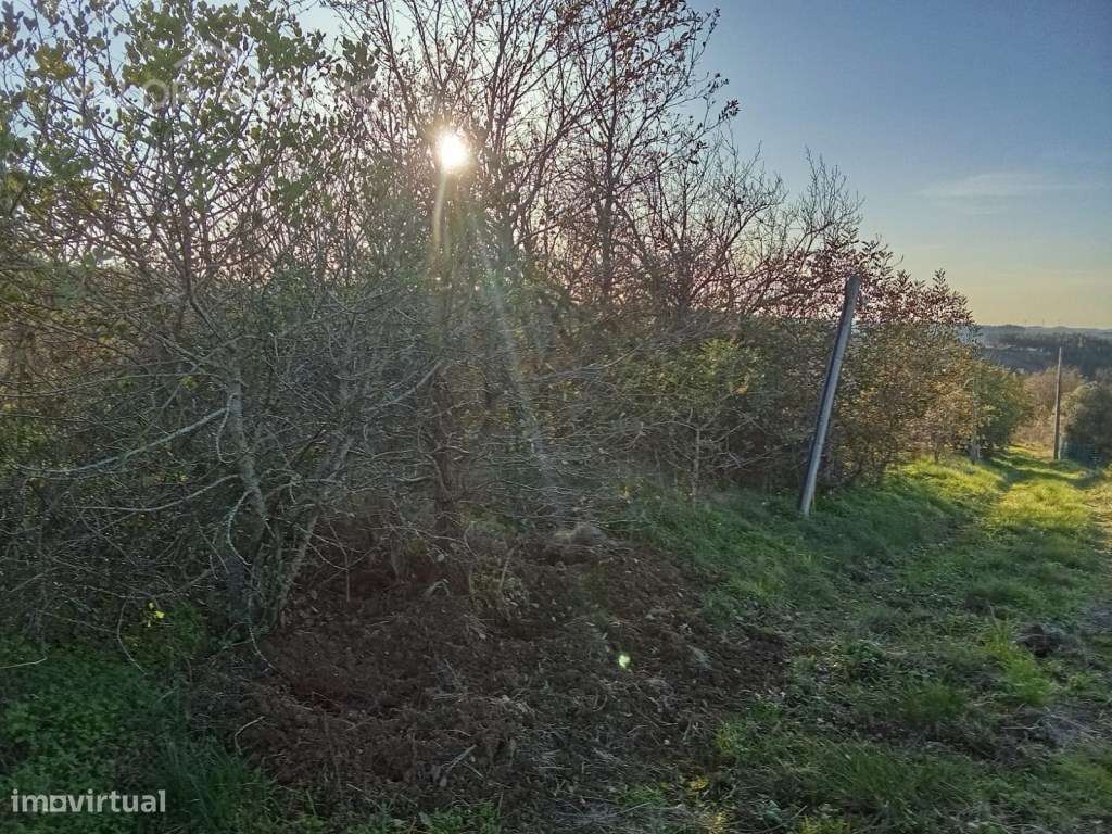 Terreno rústico em Vale Serrão, Pereiro de Palhacana, Alenquer-8