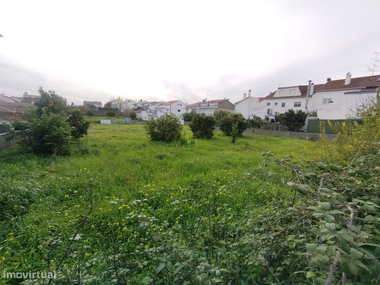 Terreno à venda na Boa Esperança, Castelo Branco 389 m²