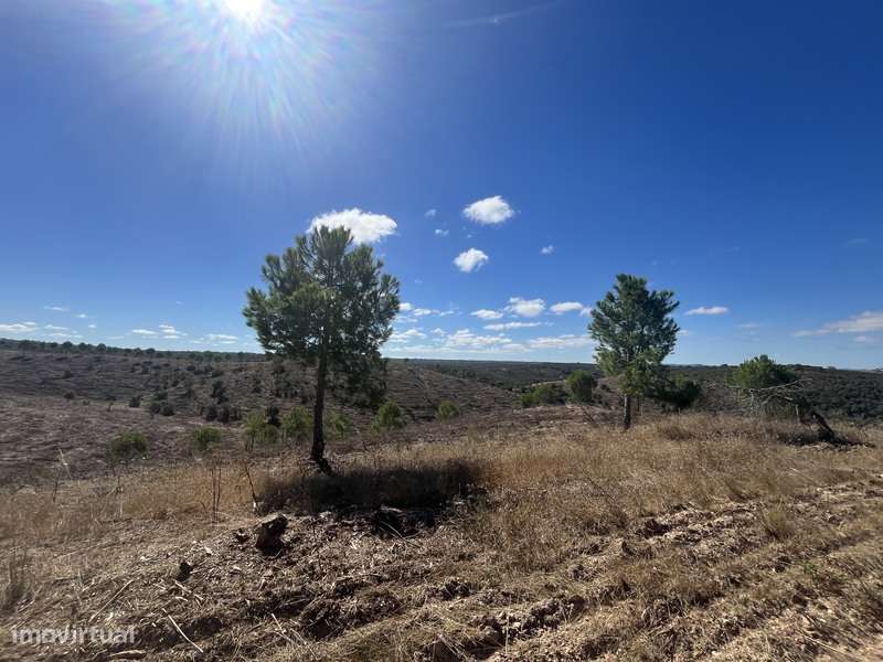Terreno com 48ha de Natureza com Ruína de 53 m² – Ideal Projeto Rural-8