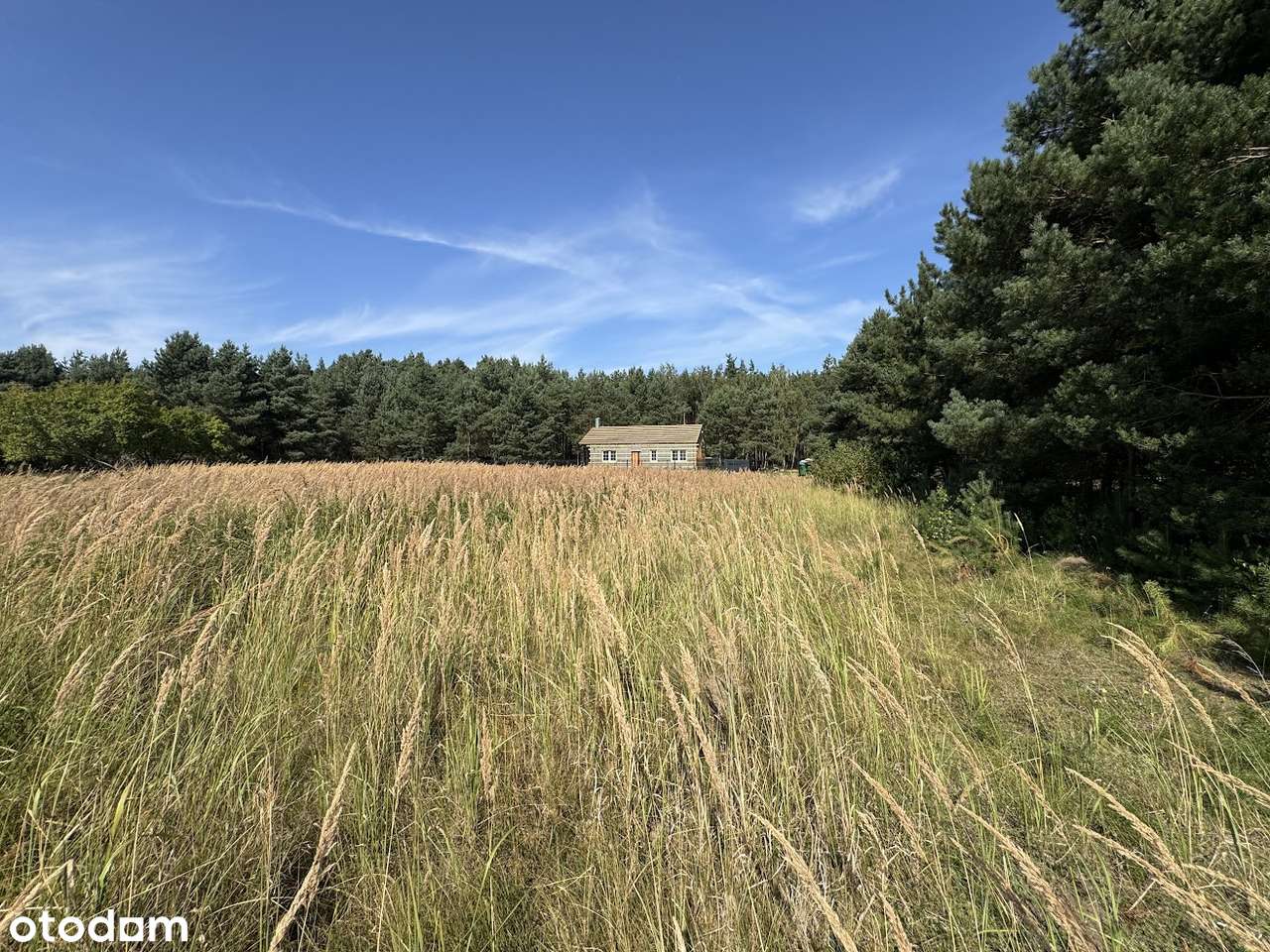 Wierzyce Osiedle Akacjowe - przy lesie-7