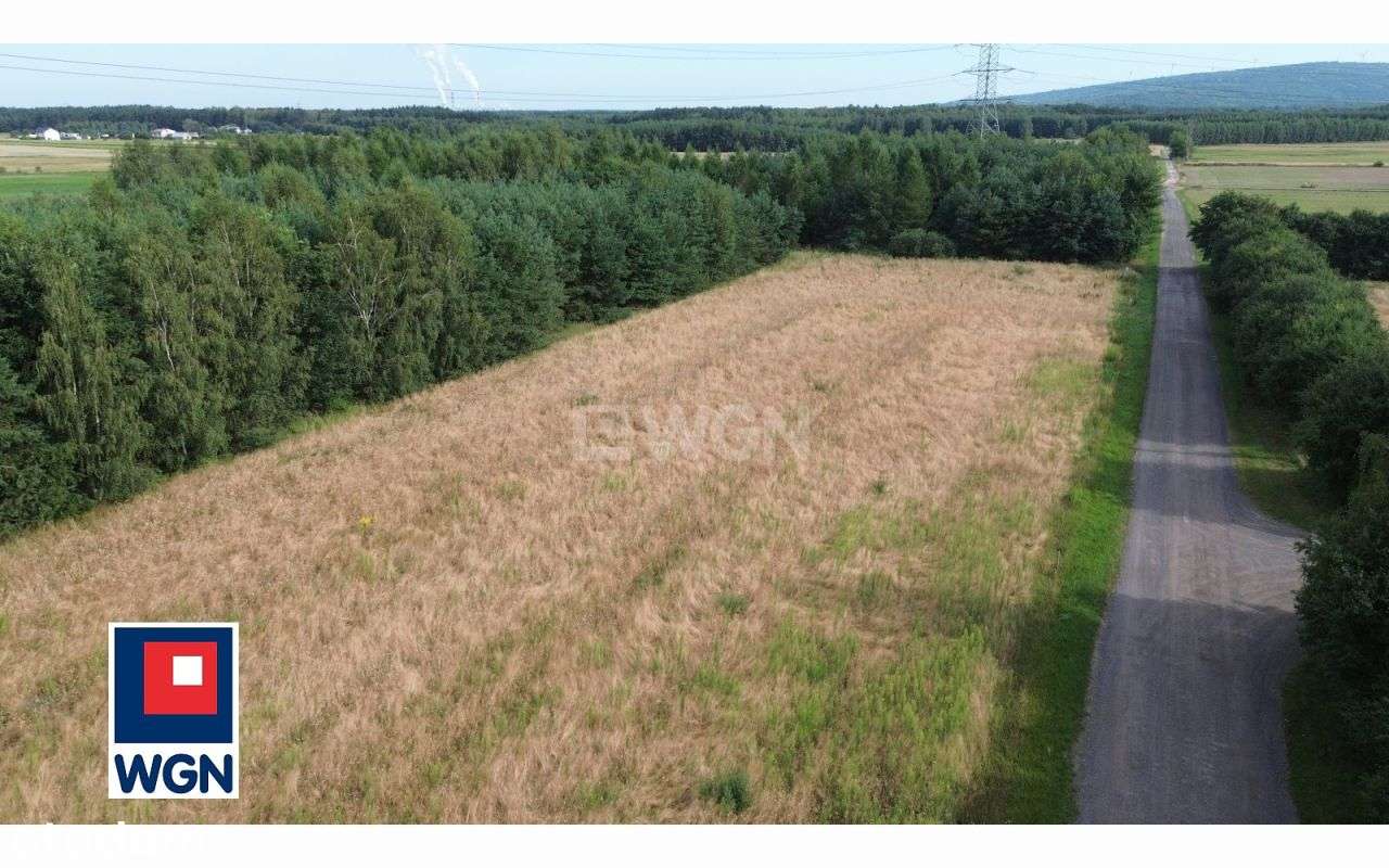 Działka, 3 032 m², Dobryszyce-7