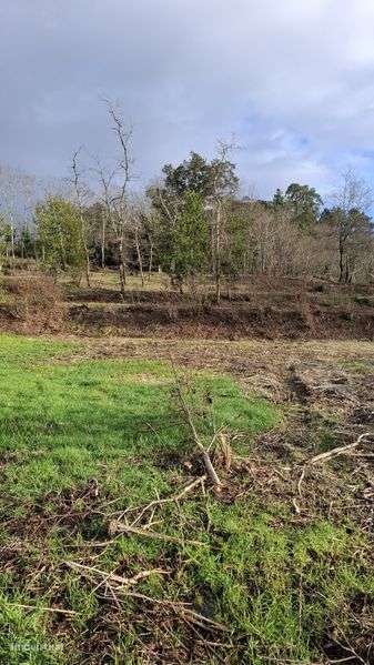 Terreno com 3500m2 em Coura - Grande imagem: 4/10