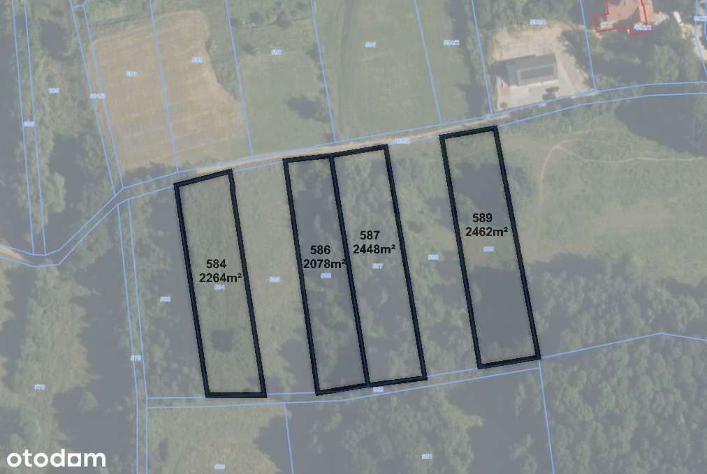 4 Działki przy lesie z widokiem na Góry Sowie-6