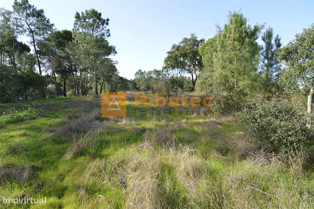 Terreno para construção no Valverde - Grande imagem: 3/5