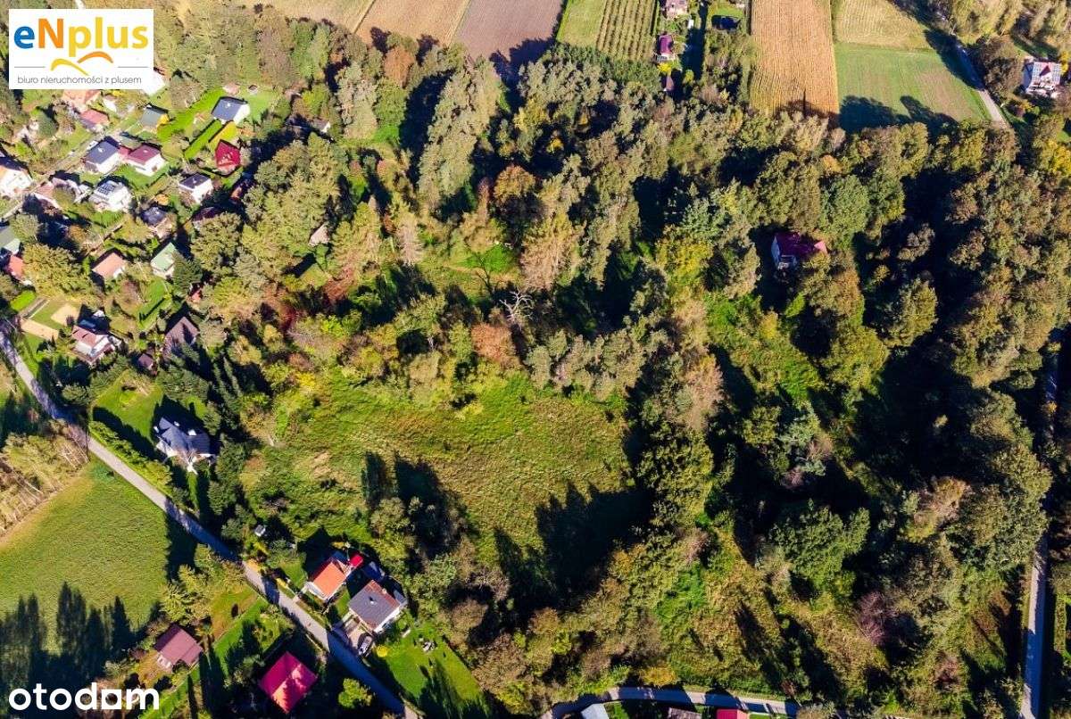 Posiadłość z malowniczym parkiem w Winiarach w gmi - Pełny obrazek: 4/20