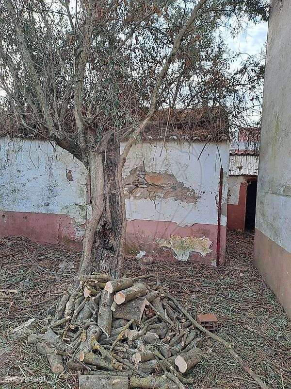 Moradia T3 para venda - Grande imagem: 4/13