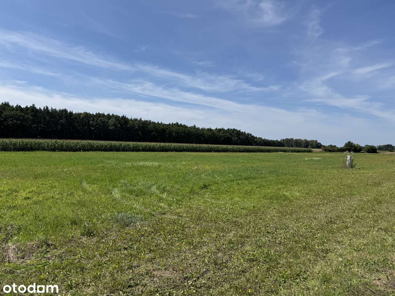 Piękna działka w malowniczym miejscu z warunkami zabudowy - Pełny obrazek: 5/6