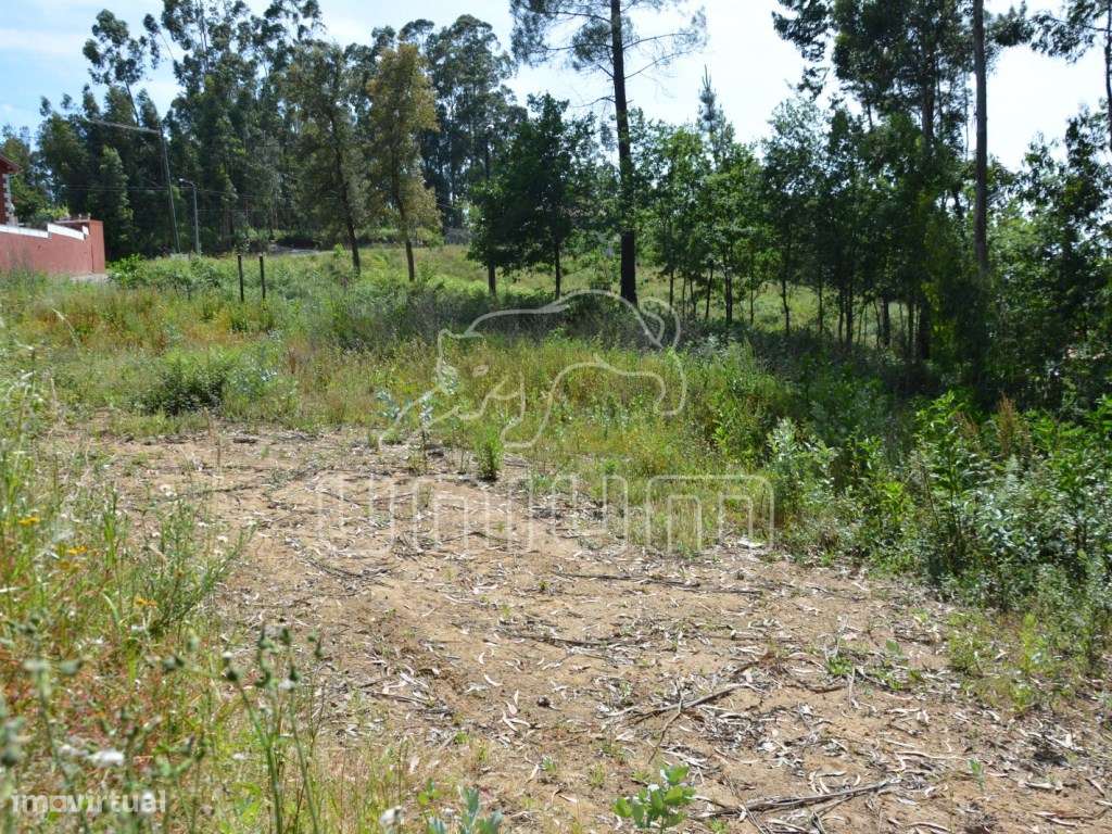 Terreno em Vila Verde - Grande imagem: 5/6
