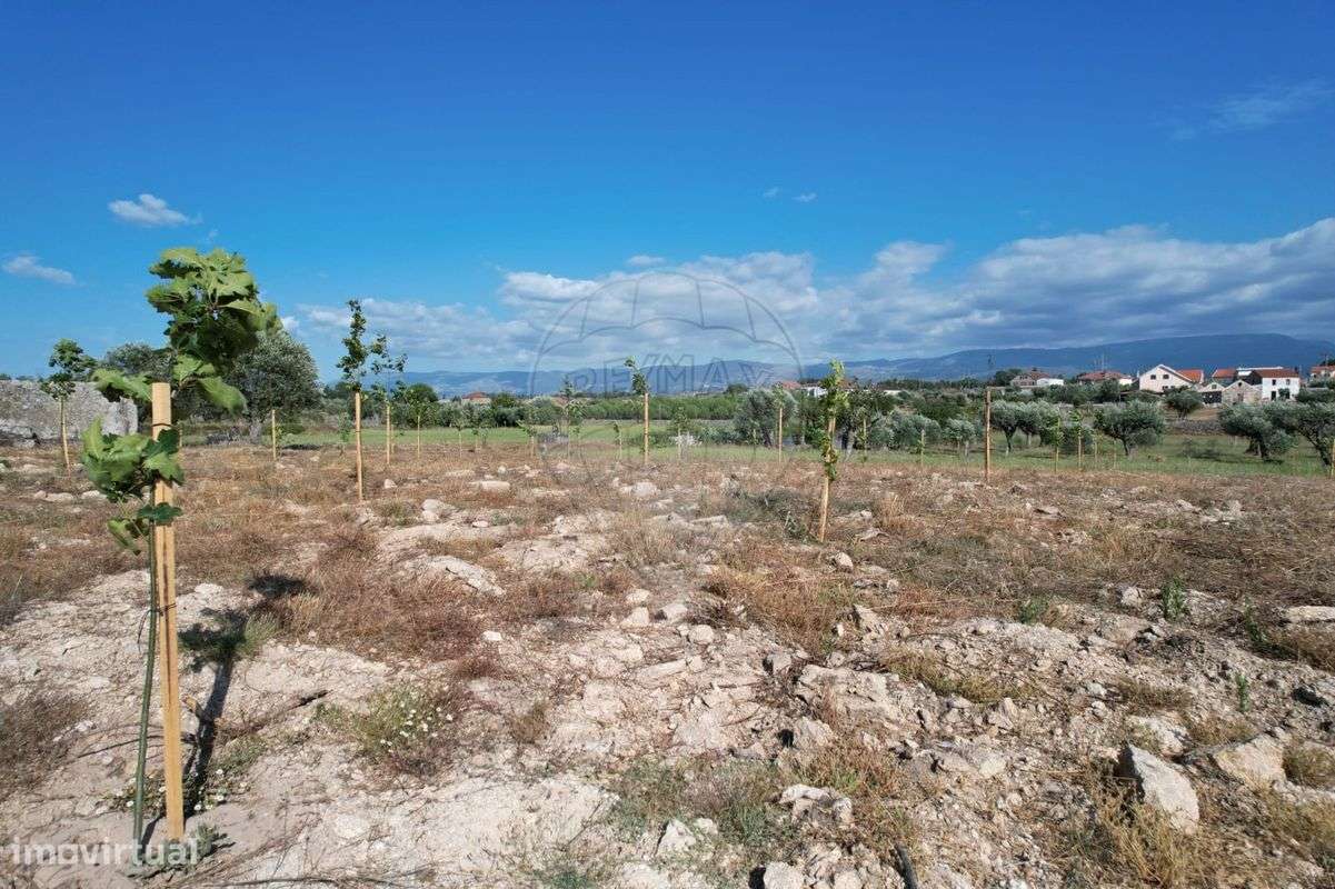 Quinta  para venda - Grande imagem: 5/11