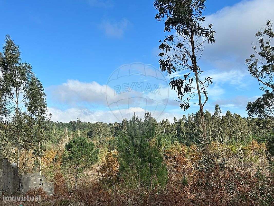 Terreno  para venda - Grande imagem: 4/9