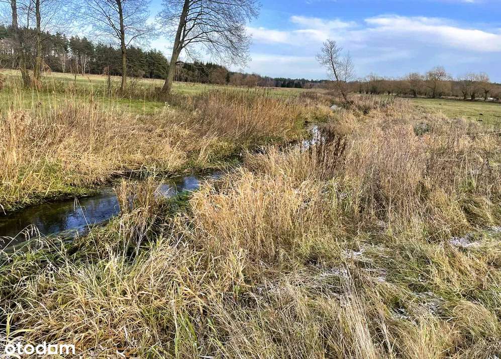 Działka  na sprzedaż Zabielne ! Zaproponuj Swoją Cenę !-2