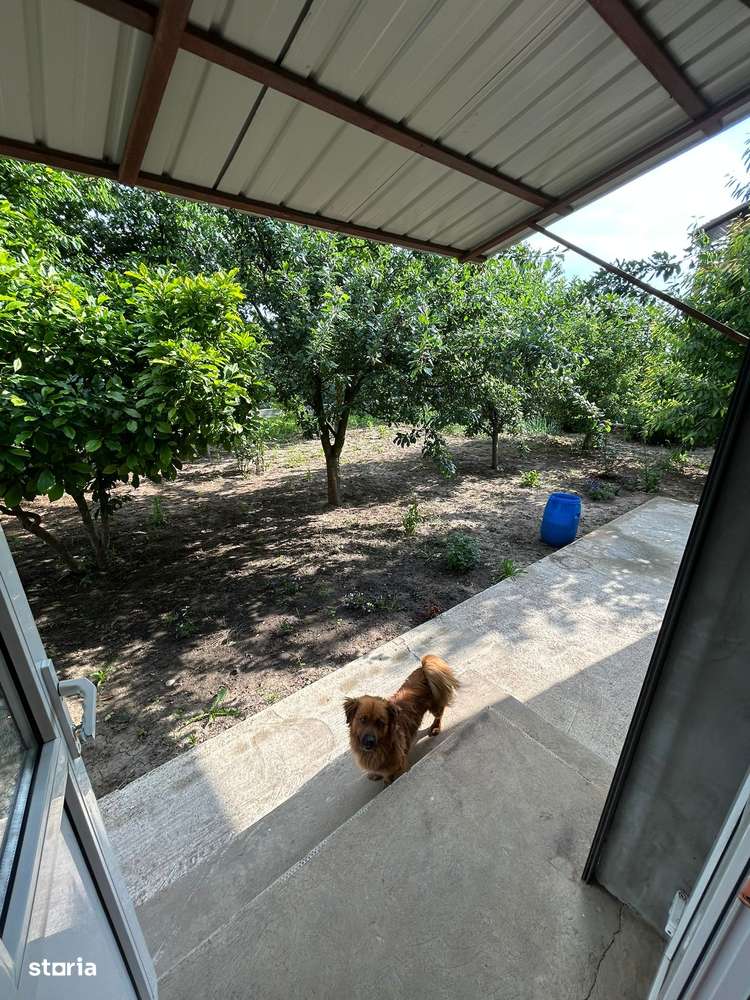 De vanzare casa cu 7 camere, 2 bai, din caramida, teren 1500 mp - Imagine principală: 2/19