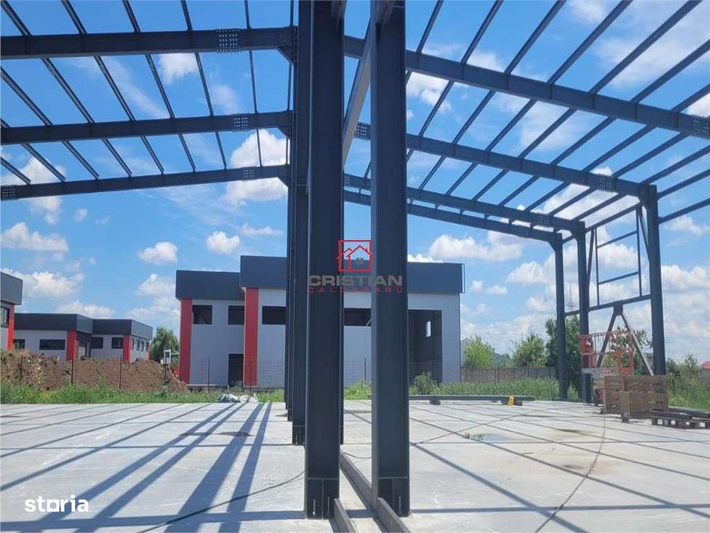 Vanzare depozithalaspatiu industrial Domnesti - Centura, Ilfov - Imagine principală: 4/20