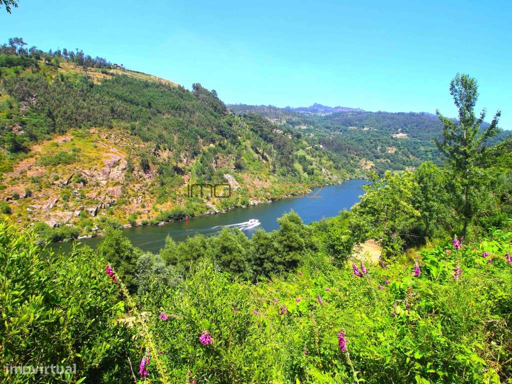 Quinta com frente de Rio Douro-20