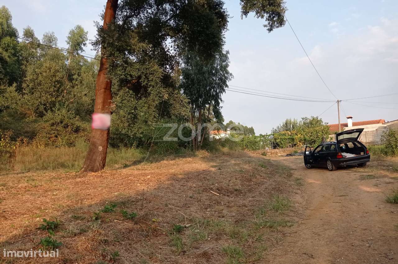 "Vinha de Cima" - Terreno em Santa Comba, Cabeceiras de Basto - Grande imagem: 4/16