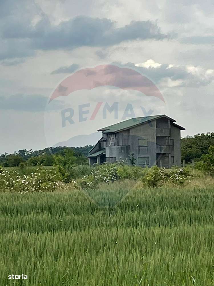 Teren intravilan, un colț de liniște, aflat în Petrești, Corbeanca - Imagine principală: 5/7