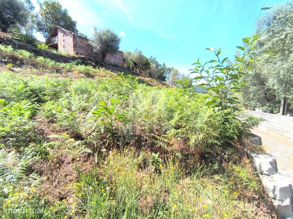 Terreno para construção à venda em Deocriste - Viana do Castelo - Grande imagem: 3/12