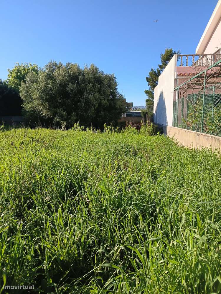 Excelente oportunidade de investimento com 350m2-7