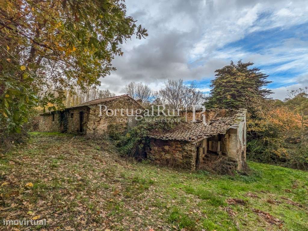 Quinta de 15 ha com várias construções no P. N. de Montesinho - Grande imagem: 4/41