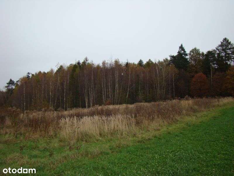 Działka rolna - Zamarski - Pełny obrazek: 5/7