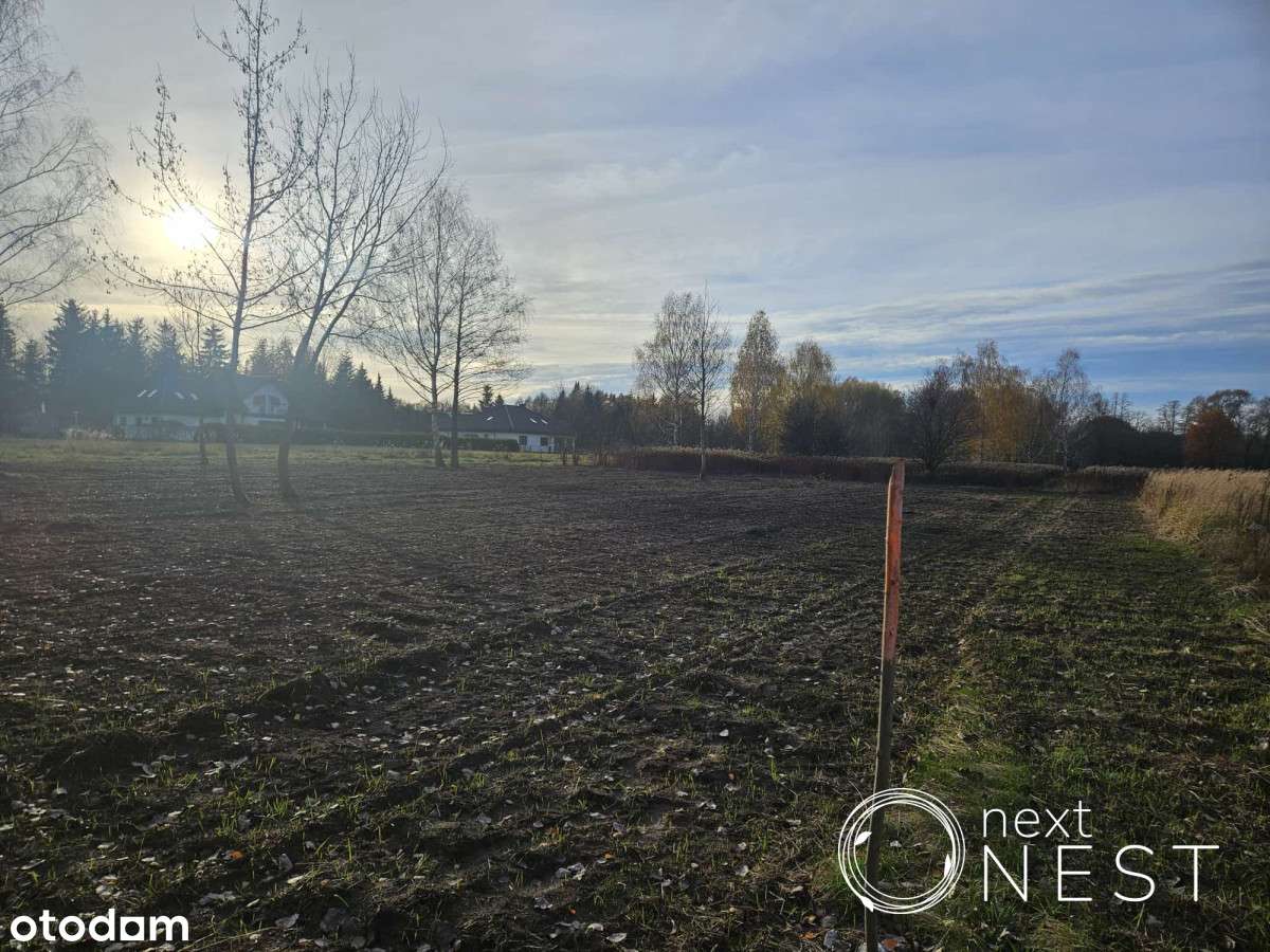 Działka pod wille, 4461m2, Siedliska-Chylice - Pełny obrazek: 5/20