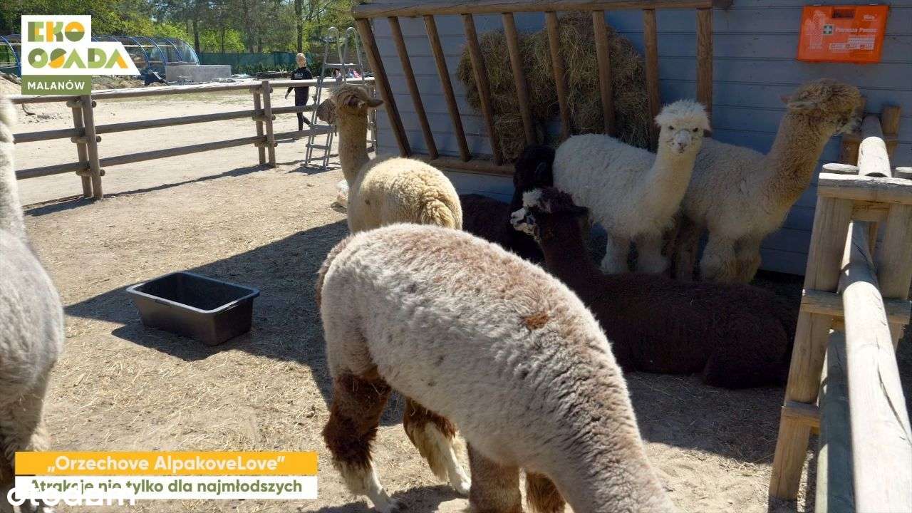 Działki budowlane premium w MPZP, z mediami, woda, las-8