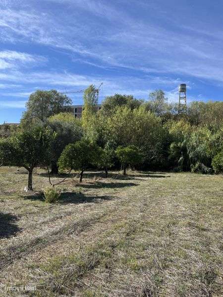 Terreno Torres Novas - Grande imagem: 5/12