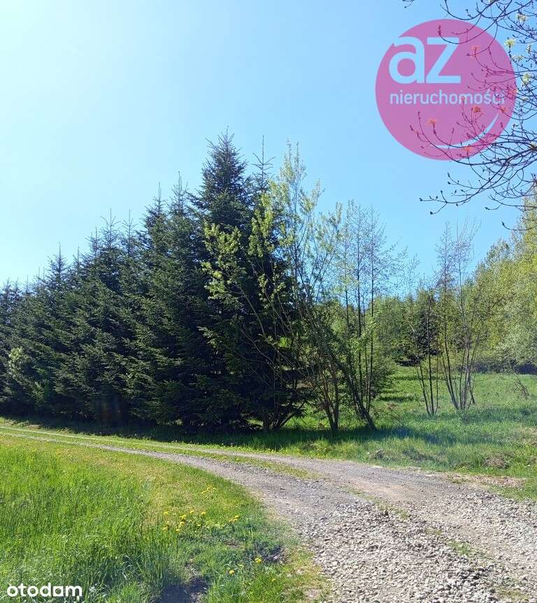 6 działek budowlanych w Stróżówce po 24a-4