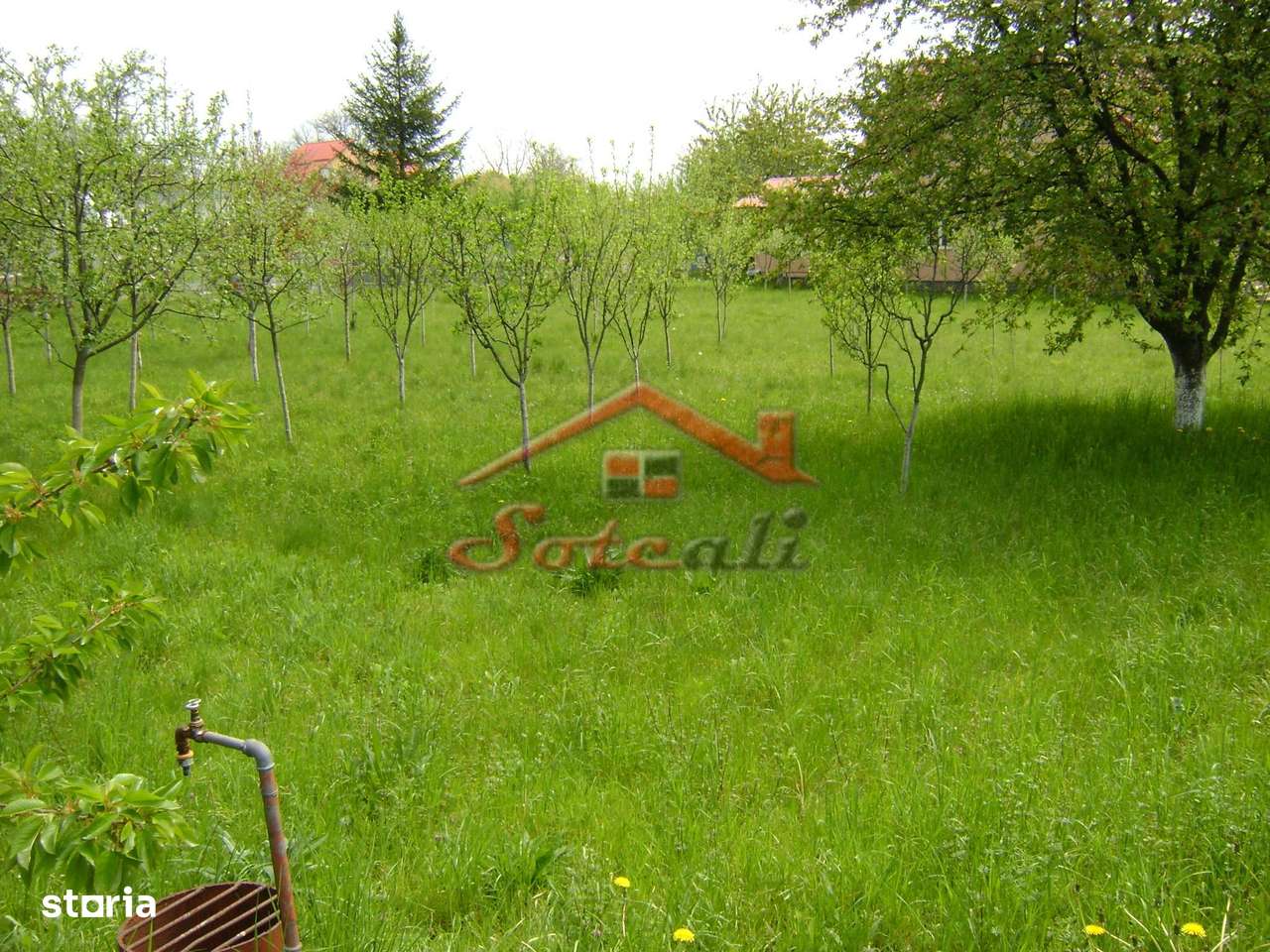 Teren de vanzare in Cornu 1183 mp-5