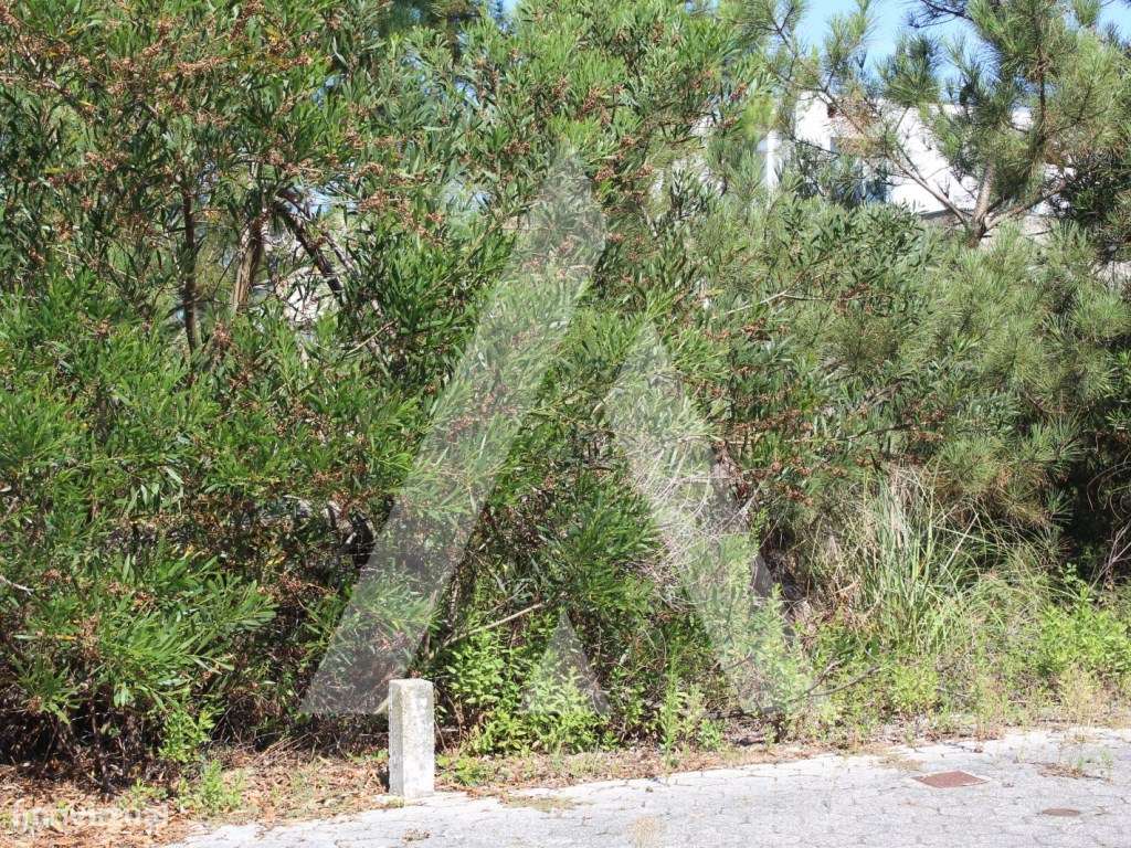 Terreno em Águeda - Grande imagem: 2/7