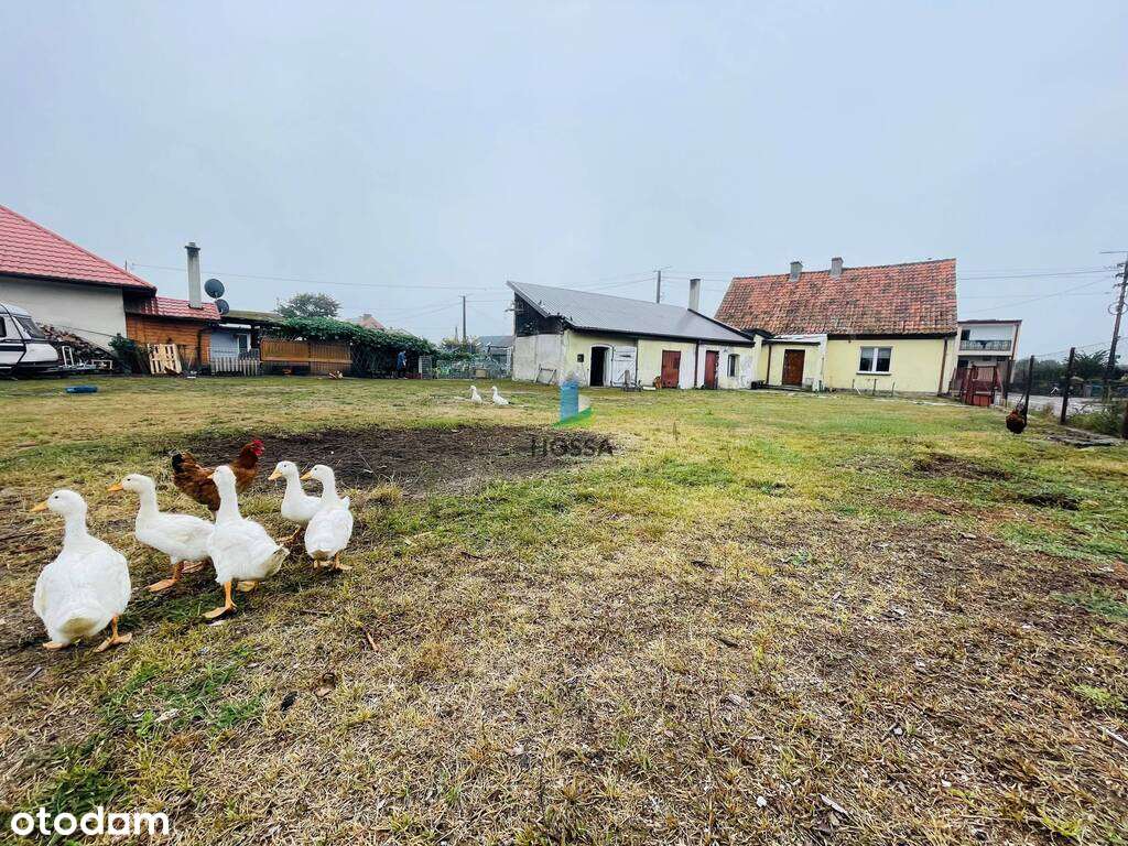 Dom z użytkowym poddaszem w Wielbarku - Pełny obrazek: 5/16