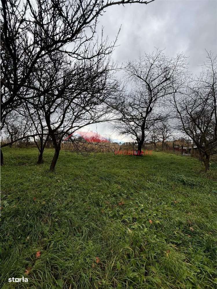 Casa batraneasca cu 33 ari teren, Ghinda-6