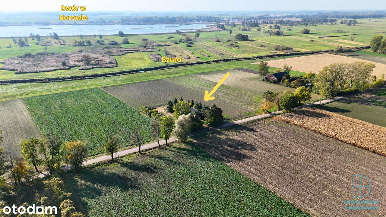 Działka z potencjałem wśród pól i zieleni – Gosławice, 2045 m²-6