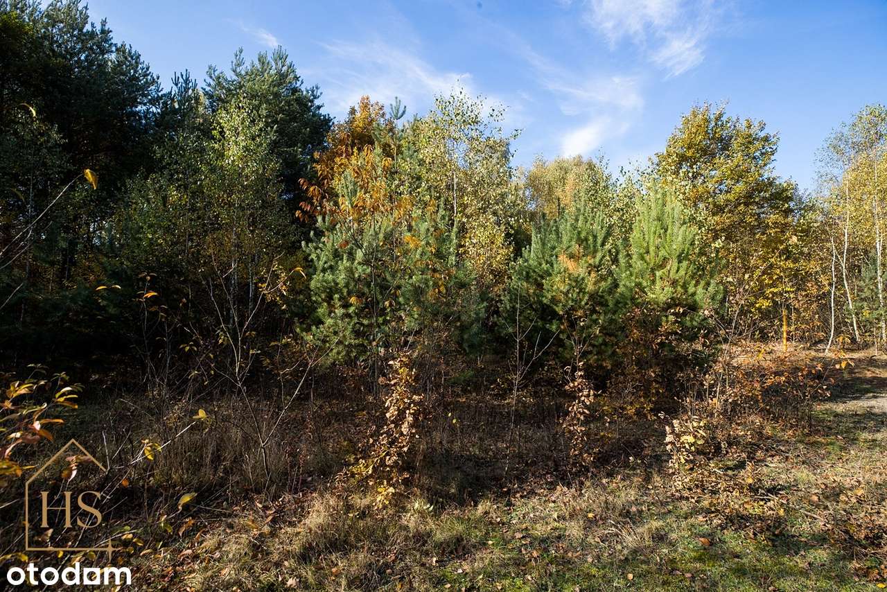 Działka budowlana w otulinie drzew/Żabia Wola/ 35 min do Warszawy-8