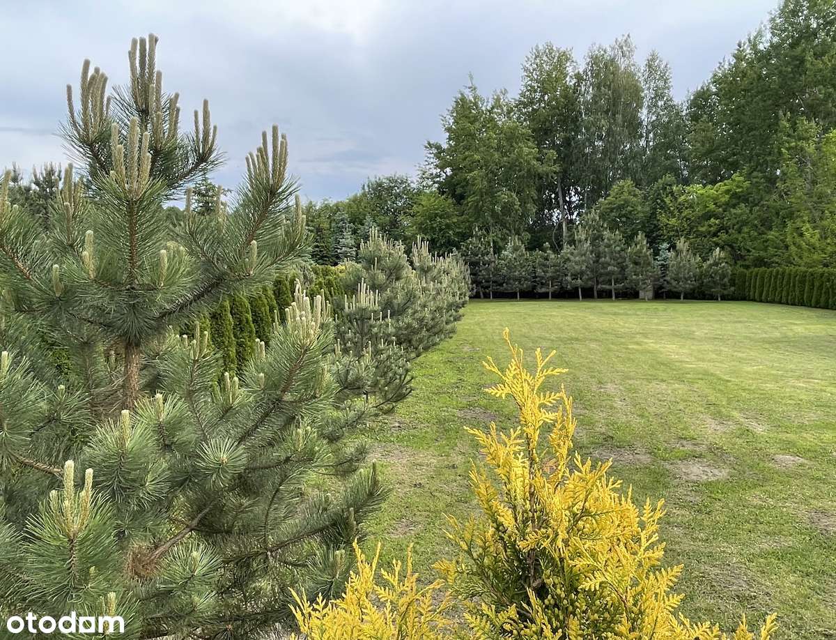 Działka budowlana 2026m2, Milanówek - Pełny obrazek: 4/17