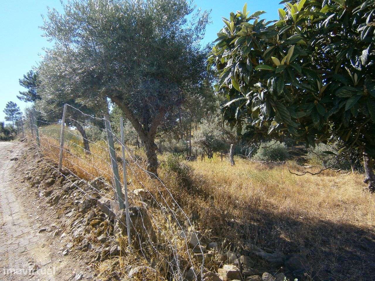 Terreno - Grande imagem: 4/8