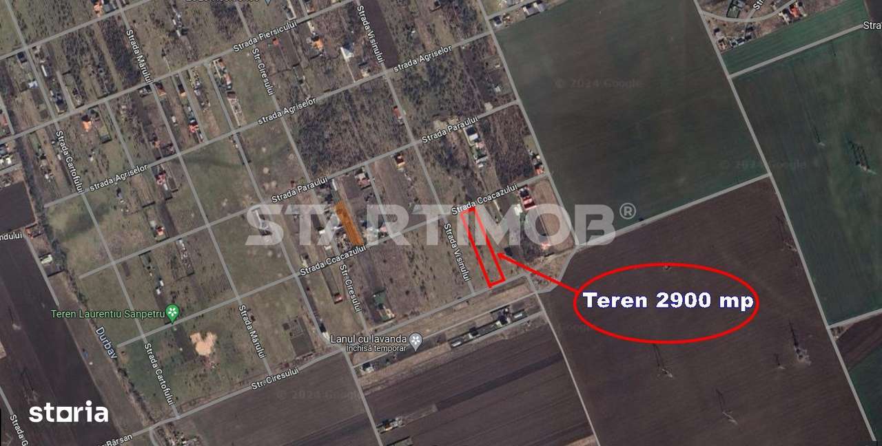 Teren intravilan Livada Sanpetru-7