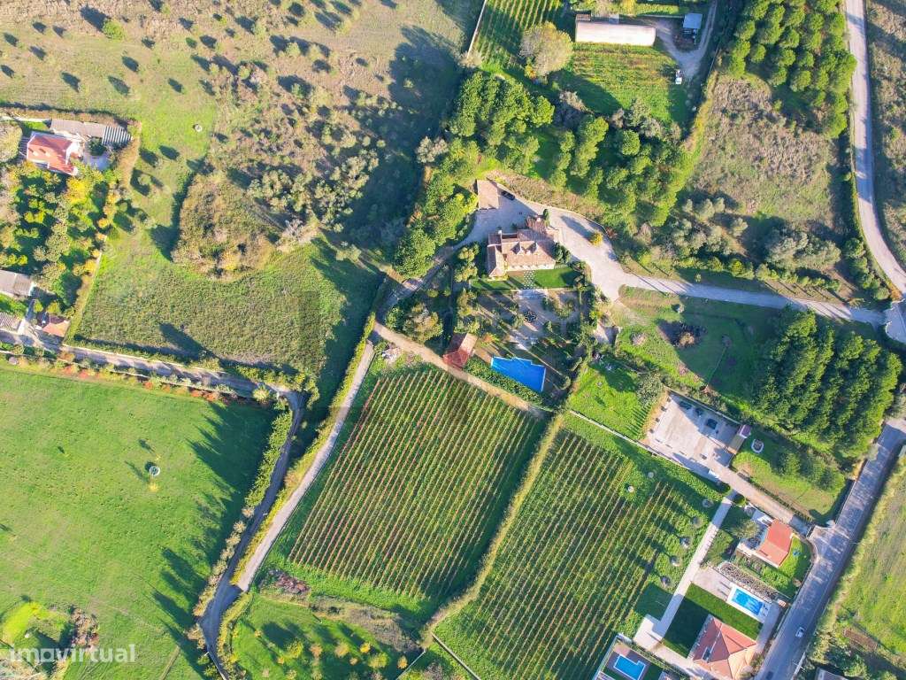 Quinta com Piscina e Vinha para Venda em Azeitão, Arrábida-9
