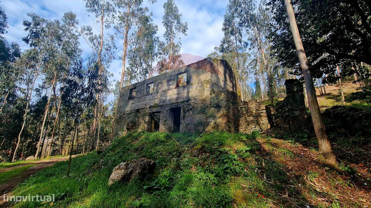 Quinta T0 para venda - Grande imagem: 4/48