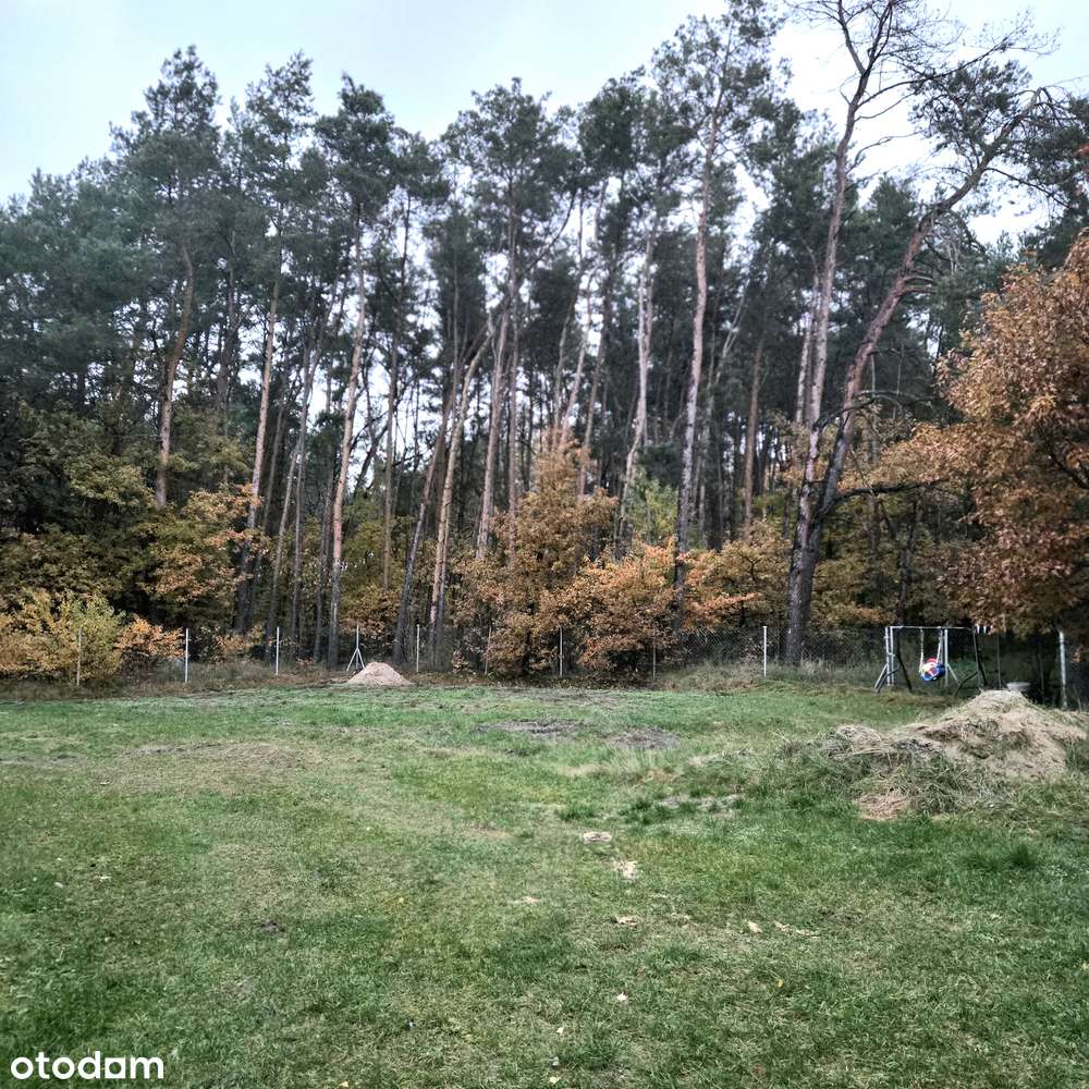 Dom z dużą działką. OKAZJA!-15