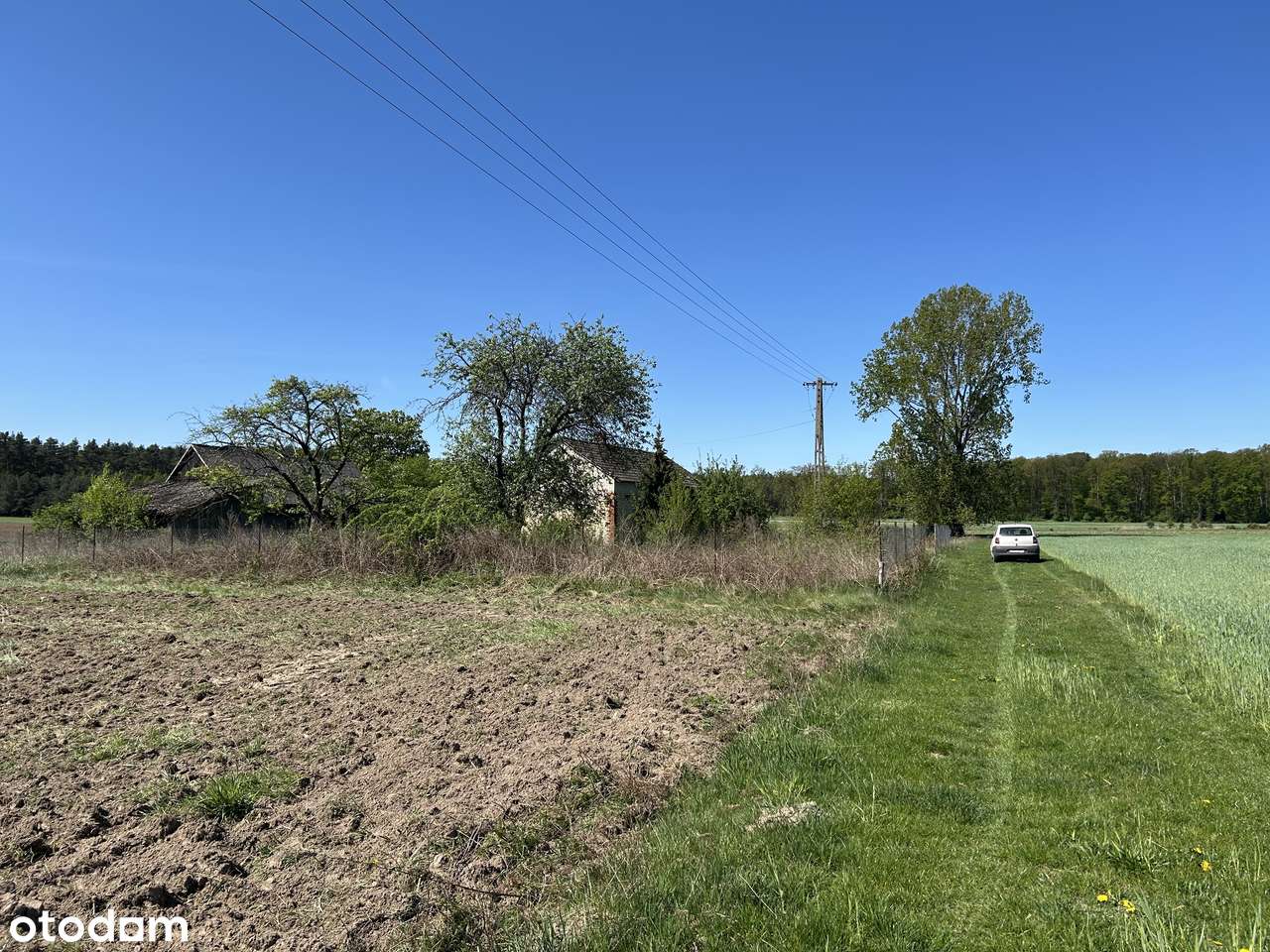 Piękna działka siedliskowa w okolicy niedaleko Uniejowa - Pełny obrazek: 5/5