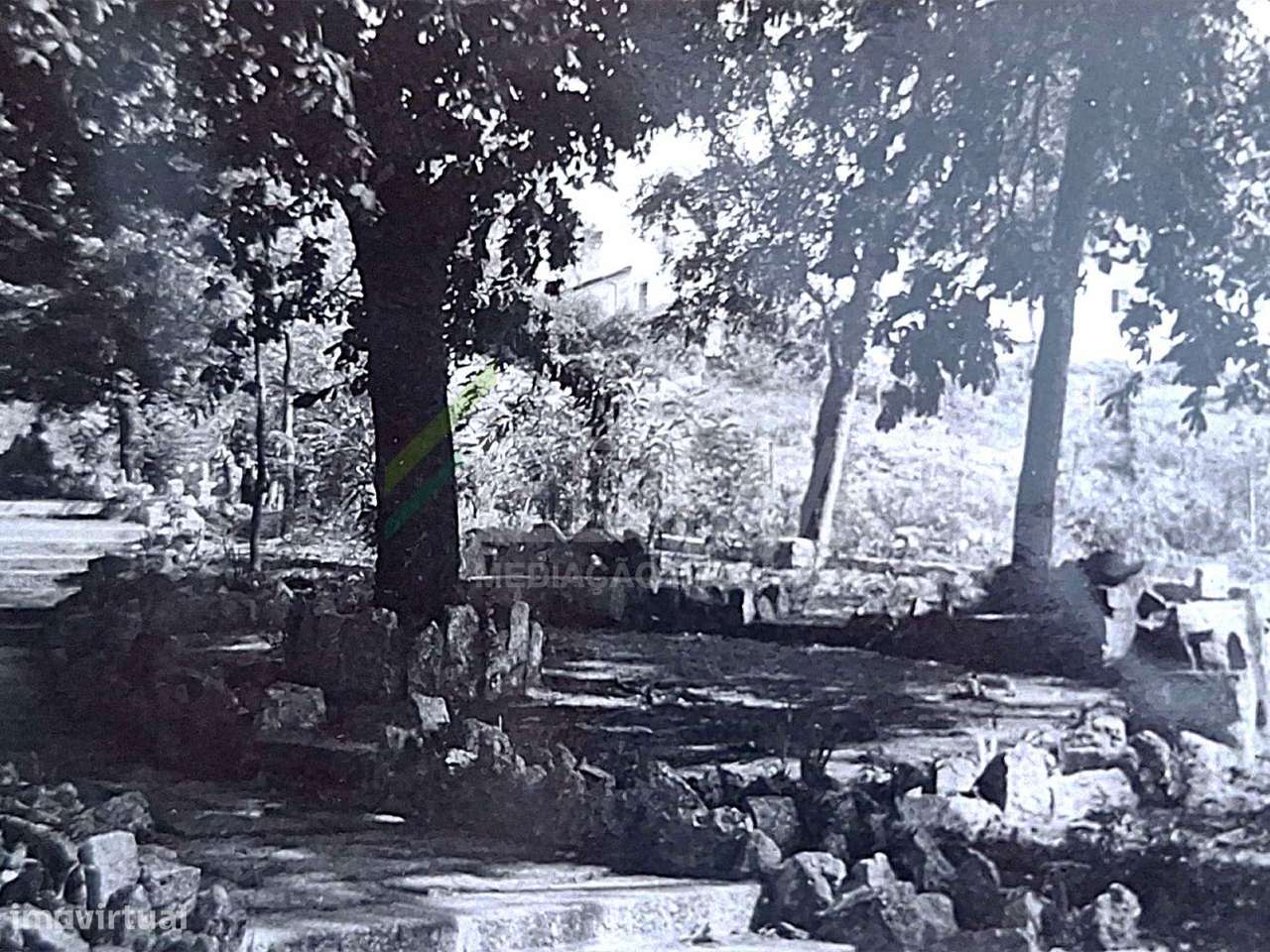 Quinta T5 - Grande imagem: 5/14