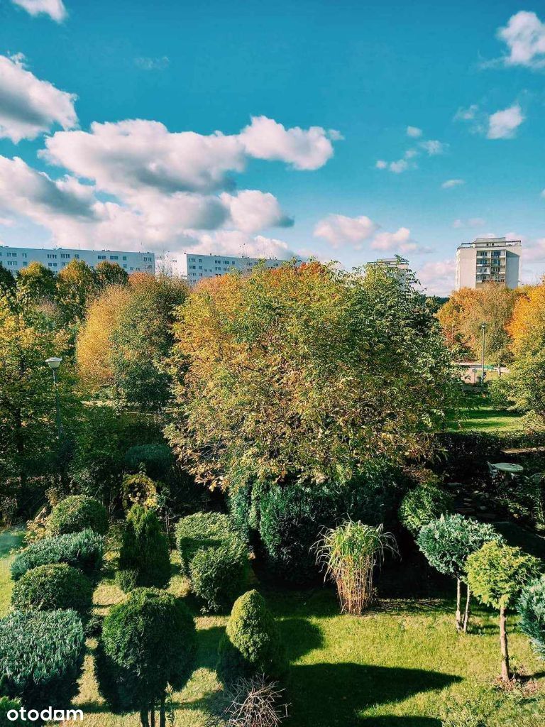 Kawalerka blisko Centrum, gotowa do zamieszkania