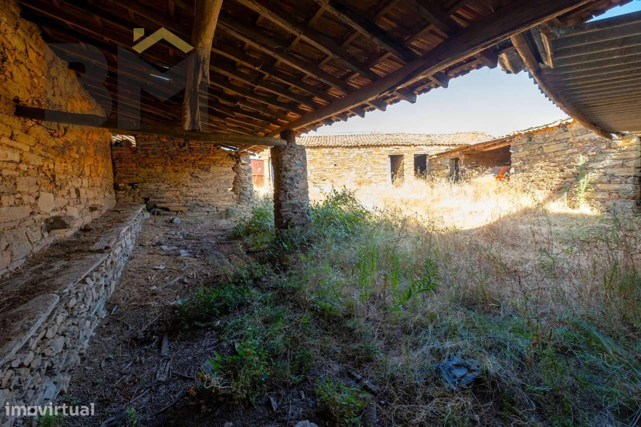 Quintinha  Venda em Sarzedas,Castelo Branco-12