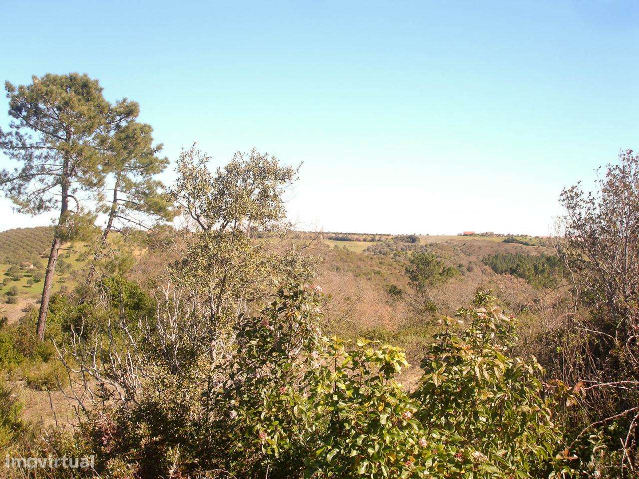 Terreno com 16.440m2 - Grande imagem: 2/6