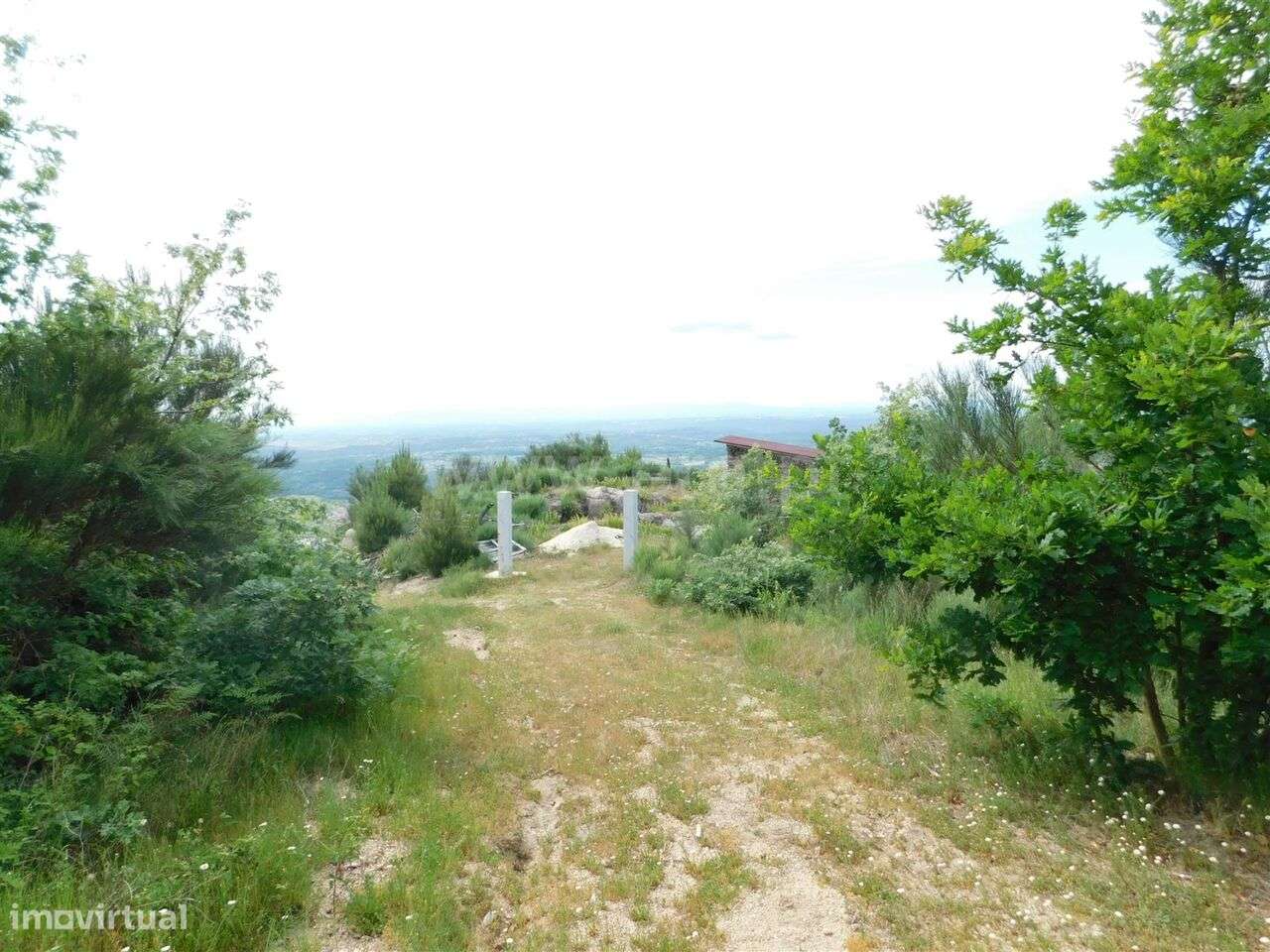 Quintinha / Seia, Santa Marinha e São Martinho - Grande imagem: 3/20